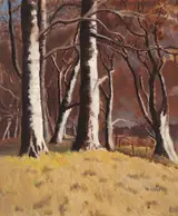 Mabel Young, TREES AGAINST A DARK SKY, WINTER