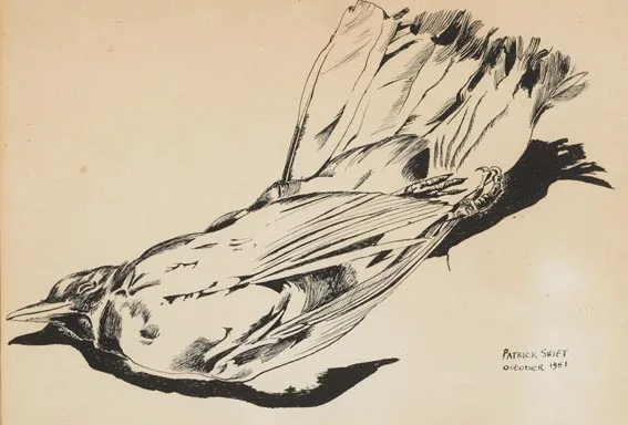BIRD by Patrick Swift, pen and ink on paper, sold Jun 2005