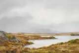 Frank Egginton, ERRISBEG, CONNEMARA