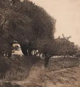 Roderic O'Conor, SENTIER À TRAVERS LES ARBES / PATH THROUGH THE TREES