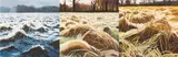 Trevor Geoghegan, FROST - A TRYPTYCH
