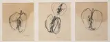 Barrie Cooke, APPLE CORES