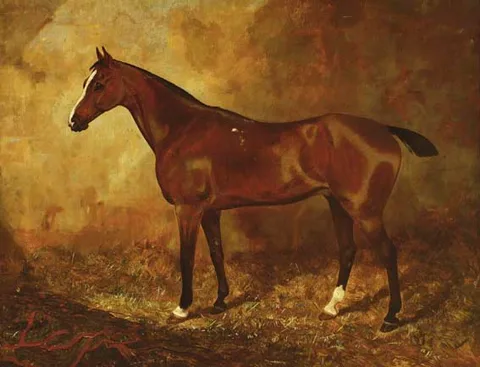 William Osborne, THE COUNT (PROPERTY OF S.A. ROBERTS ESQ., BURLINGTON ROAD), oil on canvas
