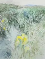 Terence P. Flanagan, WATER MEADOW, ST JOHN'S POINT, COUNTY DONEGAL