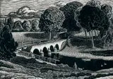 John Luke, SHAW'S BRIDGE