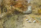 William Percy French, GEESE IN A LANE