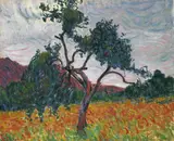 Roderic O'Conor, A TREE IN A FIELD