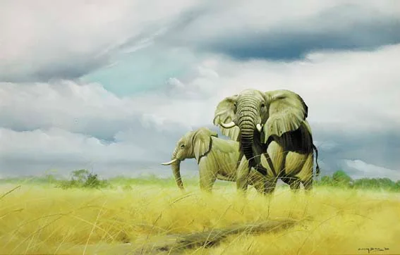 Craig Bone, ELEPHANTS ON THE PLAIN, oil on canvas