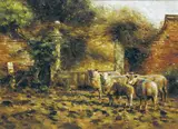 SHEEP IN A YARD, Whyte's 2004