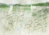 Terence P. Flanagan, A LAKE