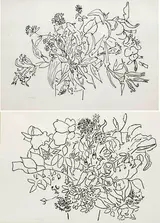 Melanie Le Brocquy, NATURE STUDIES (A PAIR)