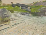 CURRACHS, CONNEMARA, Whyte's 2004