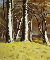 Mabel Young, TREES AGAINST A DARK SKY, WINTER
