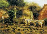 SHEEP IN A YARD, Whyte's 2004