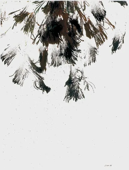 DRAWING SERIES E by Patrick Scott, Indian ink on Ingres paper, sold Apr 2004