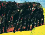 William Crozier, COLLIN'S FIELD (WEST CORK)