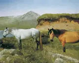 Patrick Hennessy, CONNEMARA PONIES