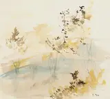 Tom Carr, SHRUBS IN THE MEADOW