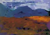 Nancy Wynne-Jones, BOG WITH PATCH OF LIGHT