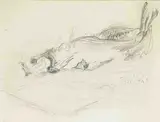 Patrick Collins, FISH