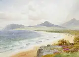 Joseph William Carey, KILLINEY