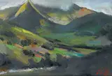 Peter Collis, DELPHI, COUNTY MAYO