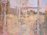 Terence P. Flanagan, VIEW OF A LAKE THROUGH FOREST TREES