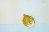 Charles Brady, ONION