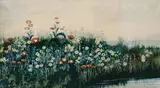 Andrew Nicholl, A BANK OF WILD POPPIES