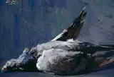 Hans Iten, STUDY OF A DEAD GAME BIRD