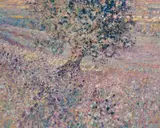 Arthur K. Maderson, THE OLIVE TREE