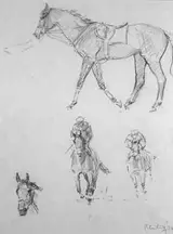 Peter Curling, EQUESTRIAN PENCIL STUDIES (A PAIR)