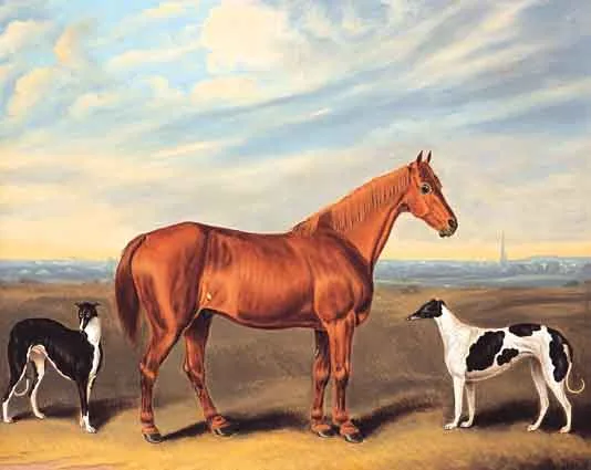 A CHESTNUT HUNTER WITH TWO GREYHOUNDS by Samuel Spode, oil on canvas, sold Jun 2001