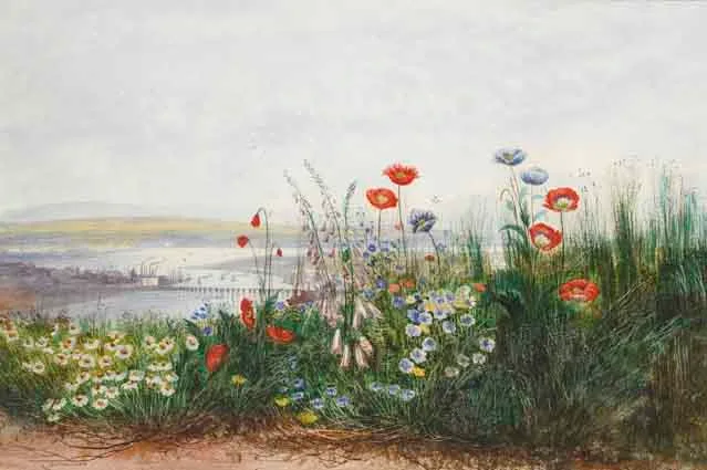 Andrew Nicholl, POPPIES, OX-EYE DAISIES, DANDELIONS AND FOXGLOVES AT THE EDGE OF A FIELD, WITH A VIEW OF LONDONDERRY, watercolour with gum arabic and sgraffito