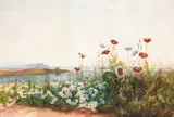 Andrew Nicholl, BANK OF WILD FLOWERS WITH DUNSTAFFNAGE CASTLE BEYOND