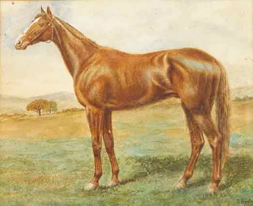 R. Barclay, ORBY - WINNER OF ENGLISH AND IRISH DERBIES, watercolour