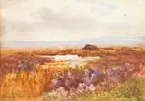 William Percy French, BOG LANDSCAPE