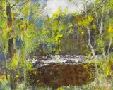 Fergus O'Ryan, THE BROWN POOL, GLENDALOUGH RIVER