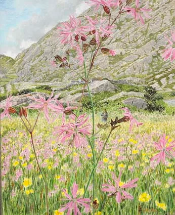 Tim Goulding, BEARA, NEAR THE ALLIHIES, WEST CORK, oil on canvas