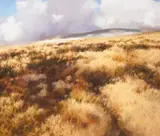 Trevor Geoghegan, COMING UP TO THE GAP