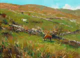 Paul Kelly, CATTLE GRAZING, COUNTY KERRY