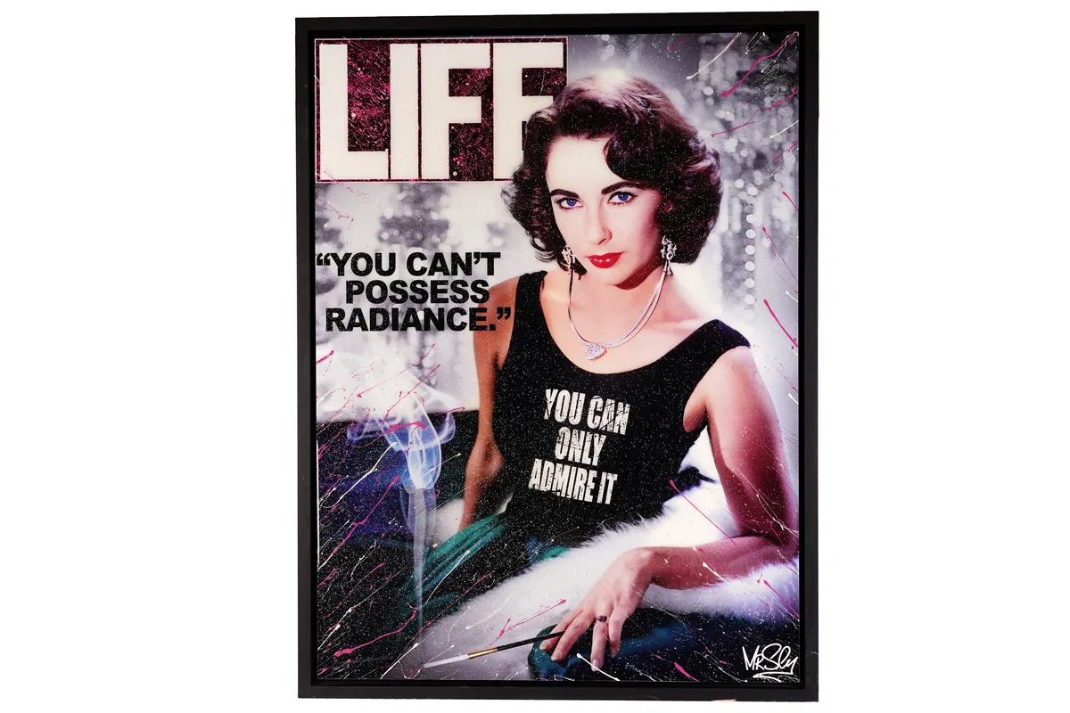 Mr Sly, Elizabeth Taylor, highlighted print