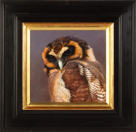 David Ord Kerr, Brown Wood Owl, Oil on canvas
