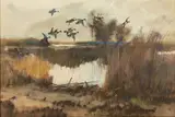Roy Martell Mason, Elkhorn Slough