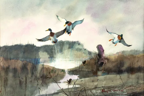 Roy Martell Mason, Three Mallards, watercolor