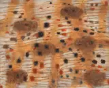 Zoran Mušič, Ombre sur le Carse, 1958, Oil on canvas