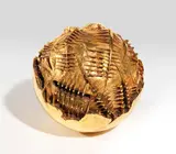 Arnaldo Pomodoro, Sfera