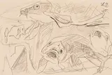 Max Beckmann, Fische, 1917, Pencil drawing