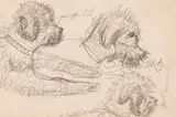 Max Klinger, Tierzeichnungen und Segel (3 Bll.), 1871, Pencil drawing