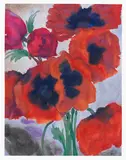 Emil Nolde, Mohnblüten